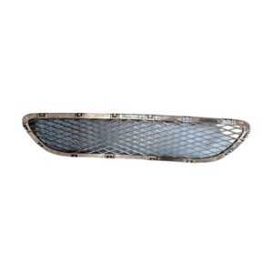 Bumper grill center _ BMW E90 first lift